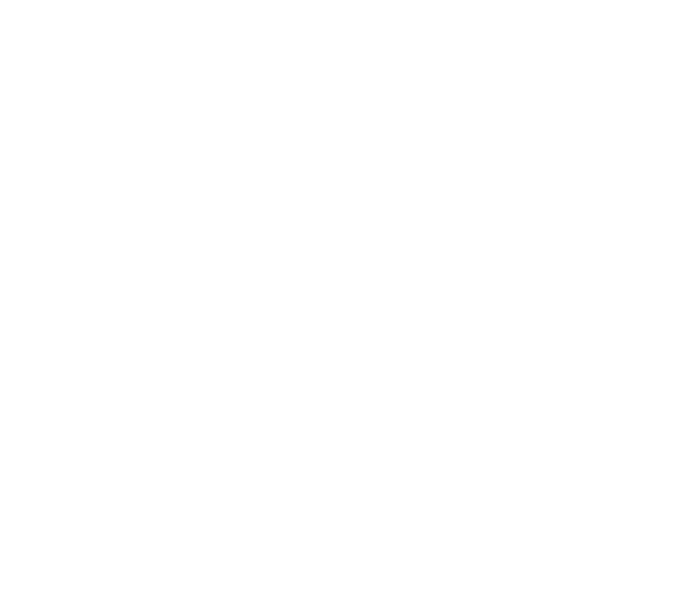 Athlevo CrossFit